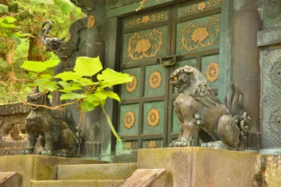 DSC_3893 (Large).JPG